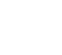 Black & Missing Foundation